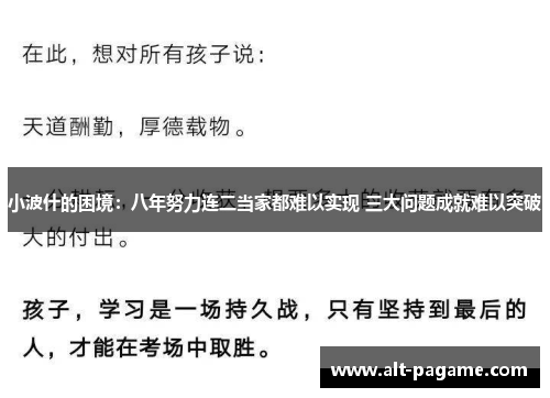 小波什的困境：八年努力连二当家都难以实现 三大问题成就难以突破