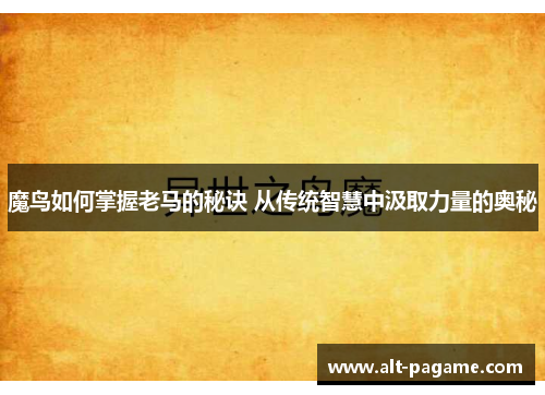 魔鸟如何掌握老马的秘诀 从传统智慧中汲取力量的奥秘