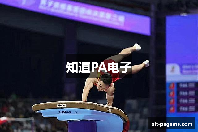 知道PA电子